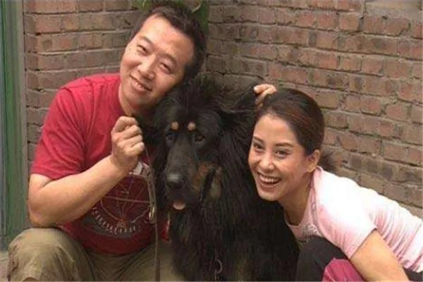 中国关于狗的电影十大排行榜 这些和狗相关的电影都看过吗