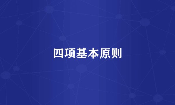 四项基本原则