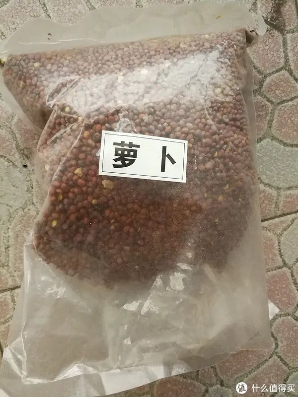 #原创新人#简简单单的阳台种菜，赶紧给自己开辟一个有机蔬菜园吧！