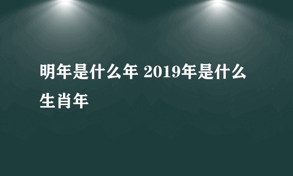 明年是什么年 2019年是什么生肖年