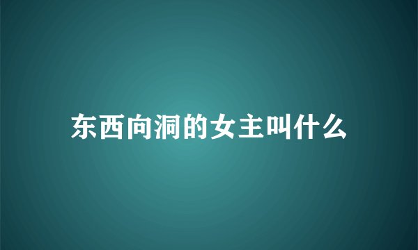 东西向洞的女主叫什么