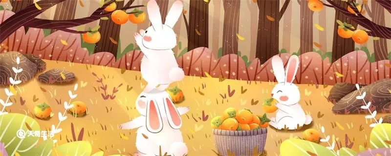 狡兔三窟是什么意思