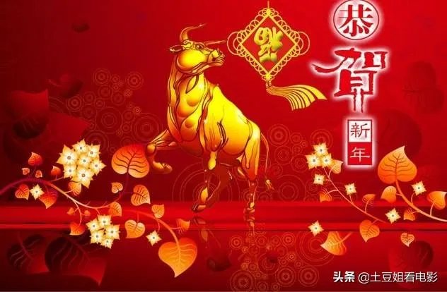 疫情回老家过年还是留上海