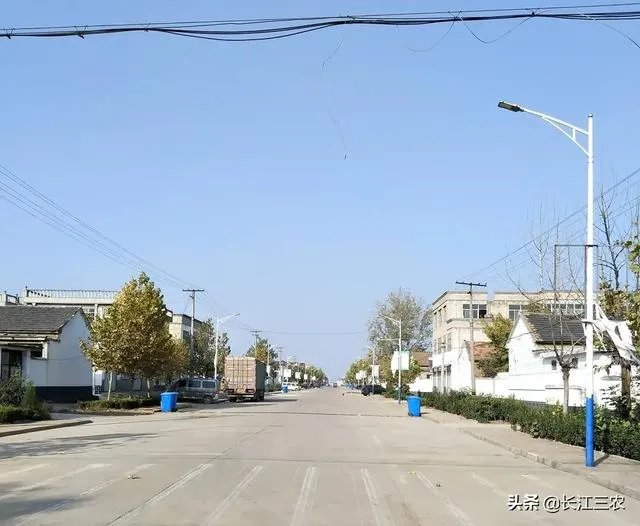 疫情回老家过年还是留上海