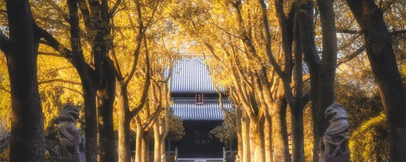 层林尽染的意思