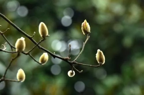 今年哪天几点打春？