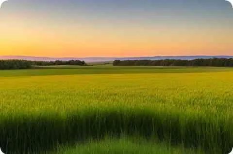 【绝壁】的意思是什么？【绝壁】是什么意思？