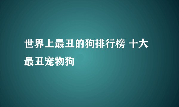 世界上最丑的狗排行榜 十大最丑宠物狗