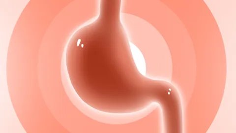 菠萝蜜核的功效作用