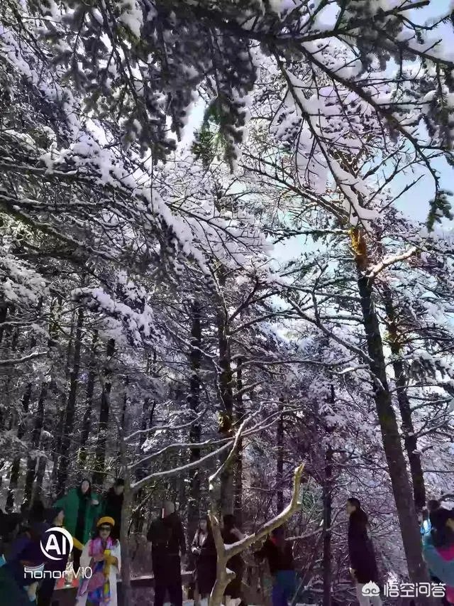 求峨眉山一日游最佳攻略?