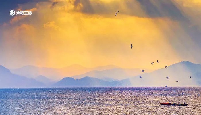 立秋的句子短句唯美