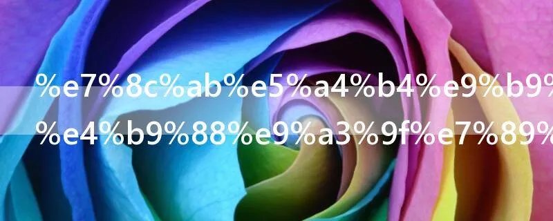 猫头鹰吃什么食物