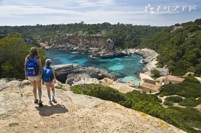 猫可以吃生肉吗