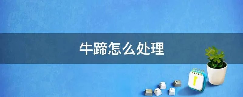 牛蹄怎么处理