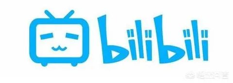 a站、b站、p站都是什么站？