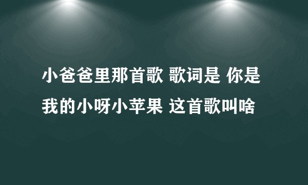 小爸爸里那首歌 歌词是 你是我的小呀小苹果 这首歌叫啥