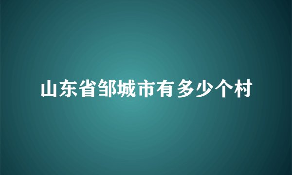 山东省邹城市有多少个村