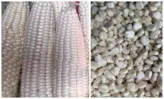 嫩玉米饼的家常做法