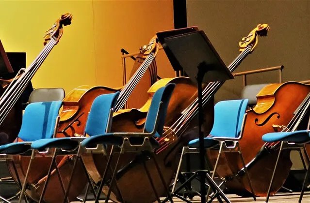 低音提琴介绍 低音提琴和大提琴的区别