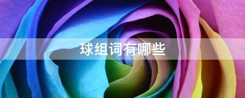 球组词有哪些
