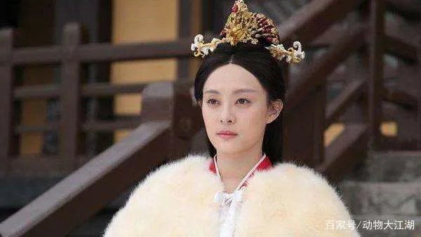 芈月嬴政关系图小说