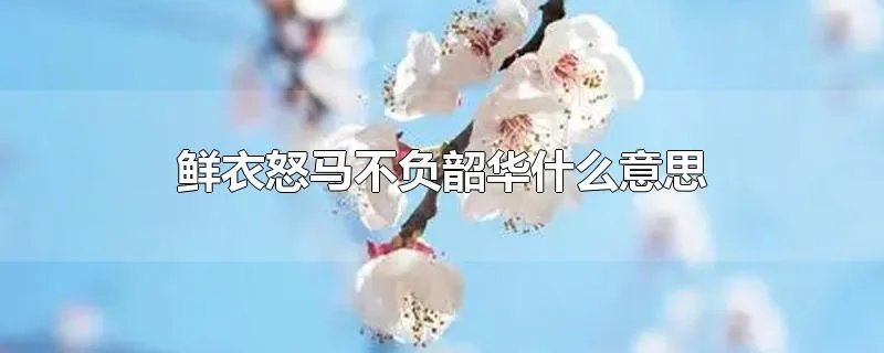 鲜衣怒马不负韶华什么意思