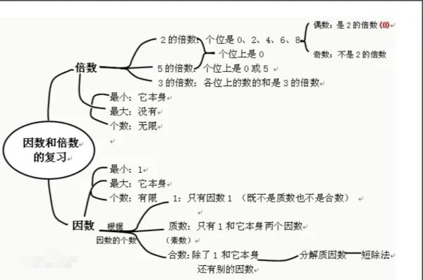 15的因数有哪些？ 16的因数有哪些？