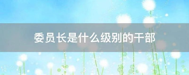 委员长是什么级别的干部