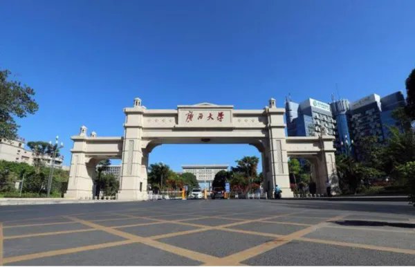 南宁大学有哪些大学