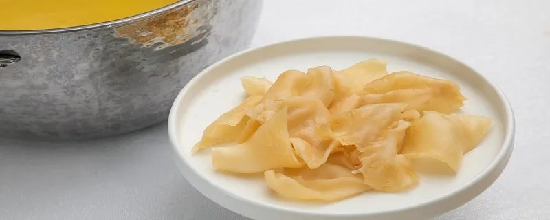 花胶是什么东西