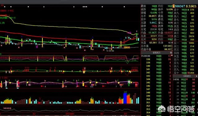 未来我们该如何投资“独角兽”公司？
