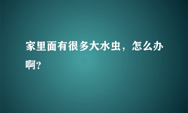 家里面有很多大水虫，怎么办啊？