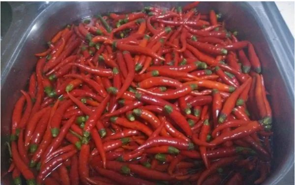 剁椒的做法
