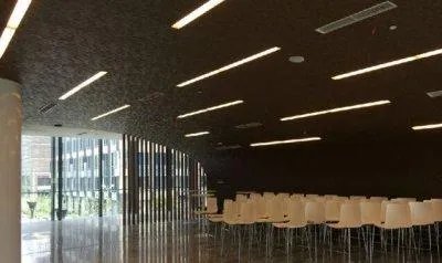 上海纽约大学，怎样？