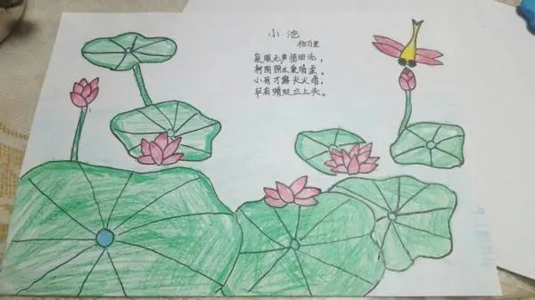 古诗小池的意思？