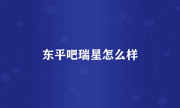 东平吧瑞星怎么样