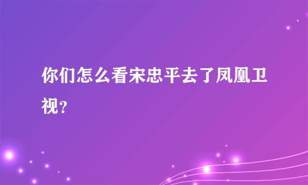 你们怎么看宋忠平去了凤凰卫视？