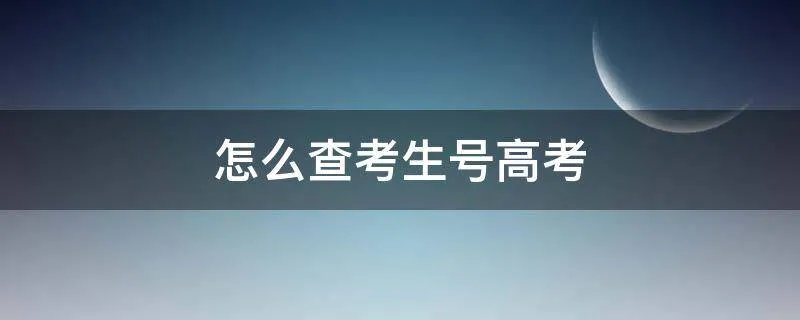 怎么查考生号高考