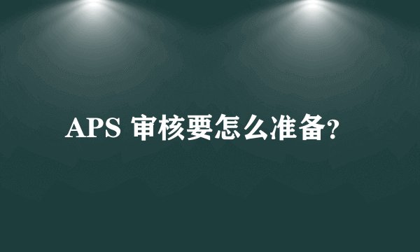 APS 审核要怎么准备？