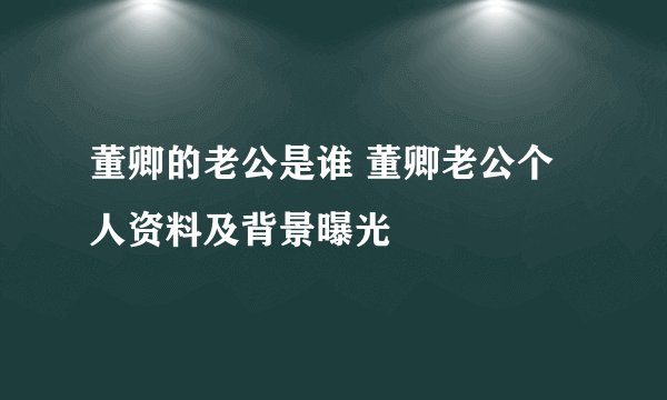 董卿的老公是谁 董卿老公个人资料及背景曝光
