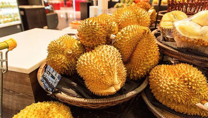 榴莲产地在我国哪里