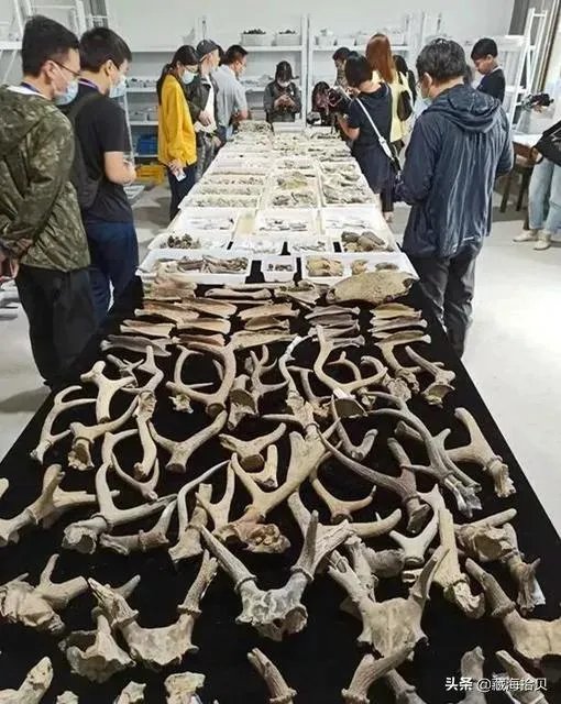 2020年中国六大考古发现，发现了啥？