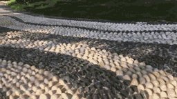 石家庄水上公园好玩吗？