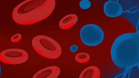 血压的正常范围是多少