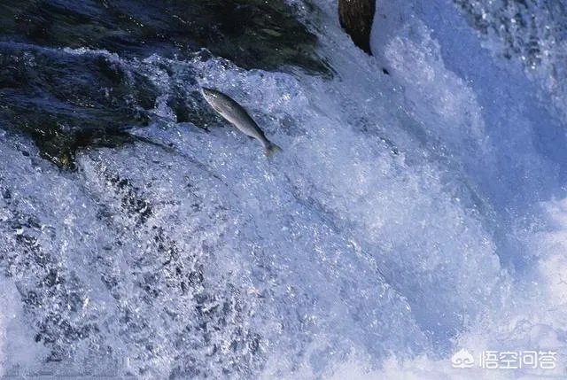 什么是逆向思维？