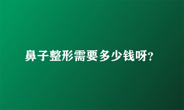 鼻子整形需要多少钱呀？