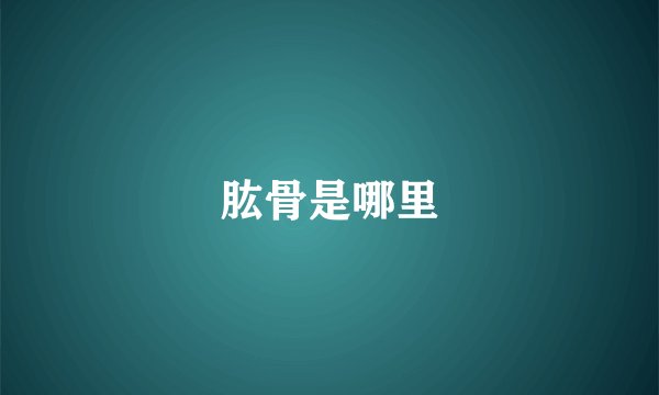 肱骨是哪里