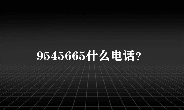 9545665什么电话？
