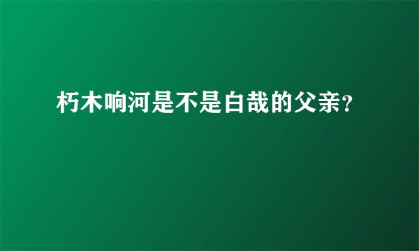 朽木响河是不是白哉的父亲？