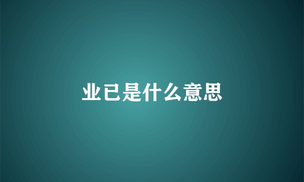 业已是什么意思